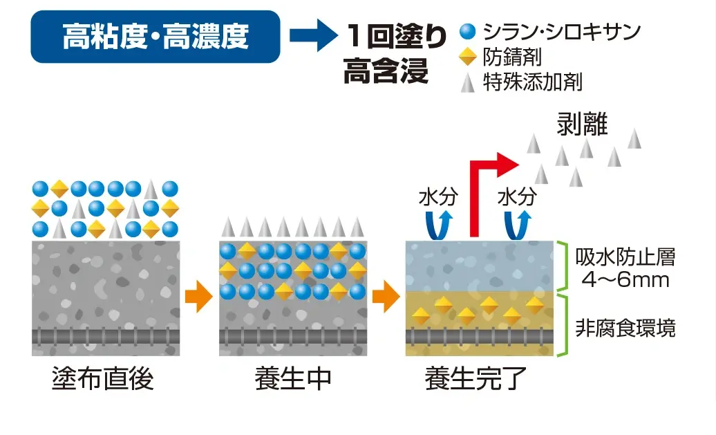 吸水防止層及び非腐食環境の形成システム