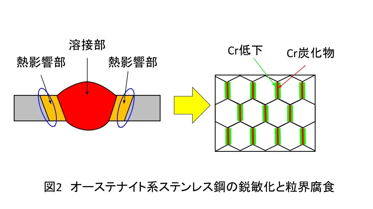 塗装と腐食の関係性　⑬粒界腐食