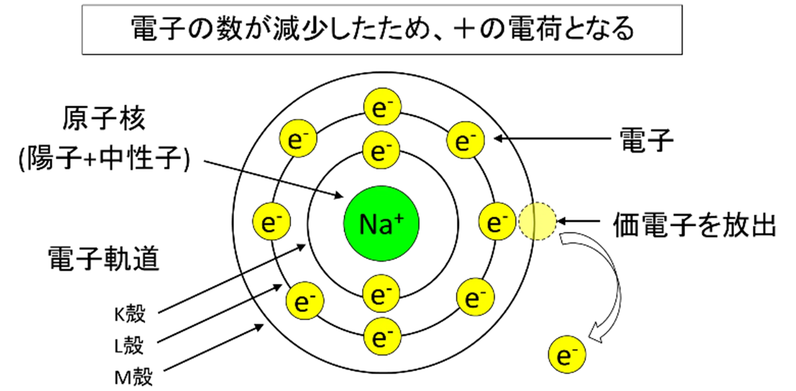 図2　ナトリウムイオンの模式図