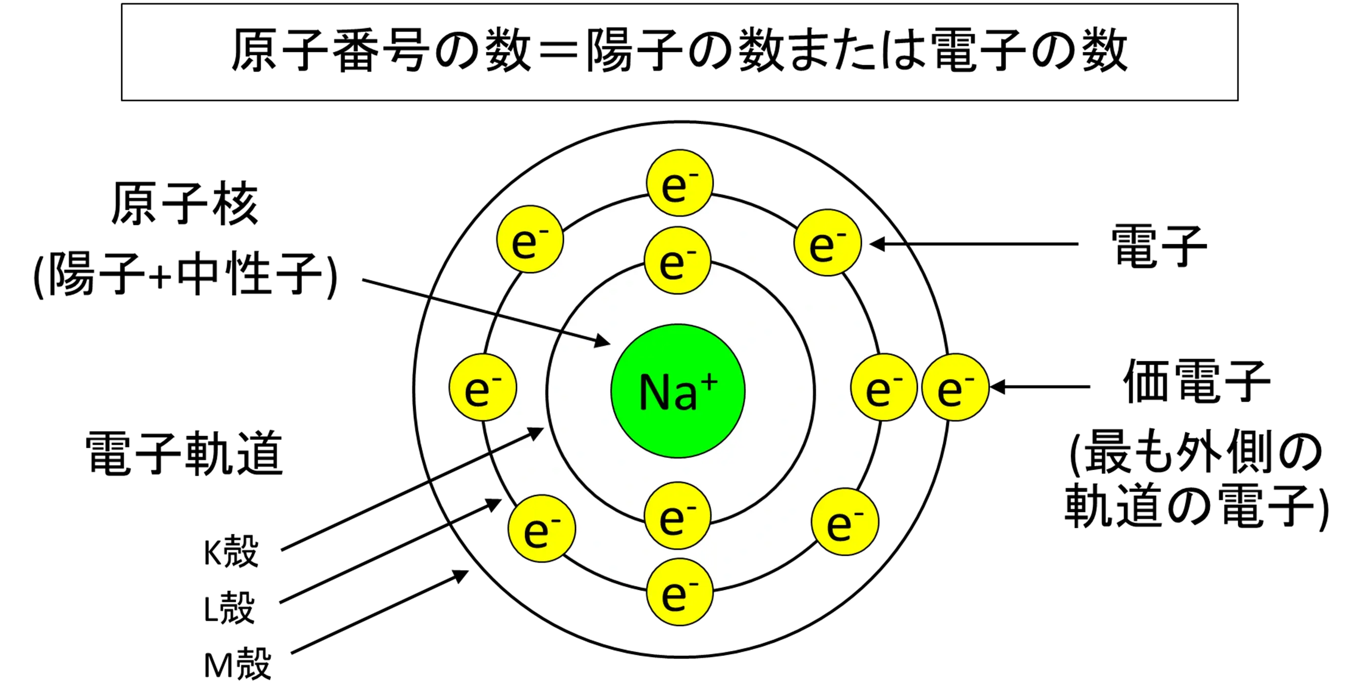 図1　ナトリウム原子の模式図