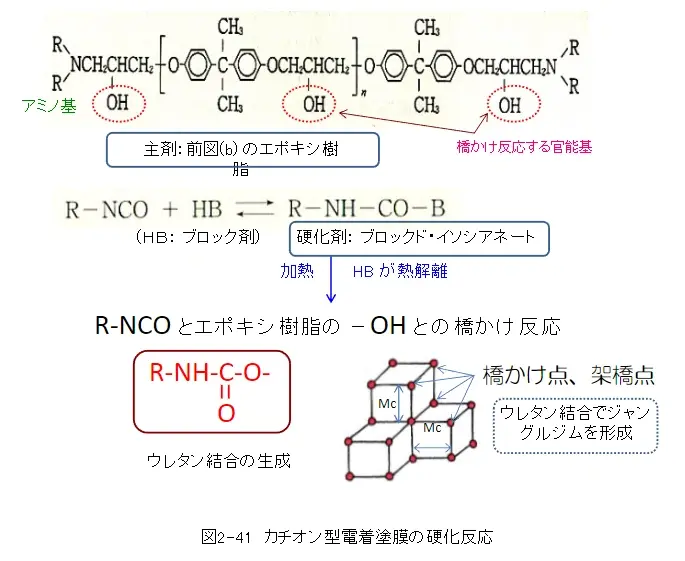 4.塗装方法を知ろう(3)　②電着塗装 (3)　電着塗料と塗膜形成