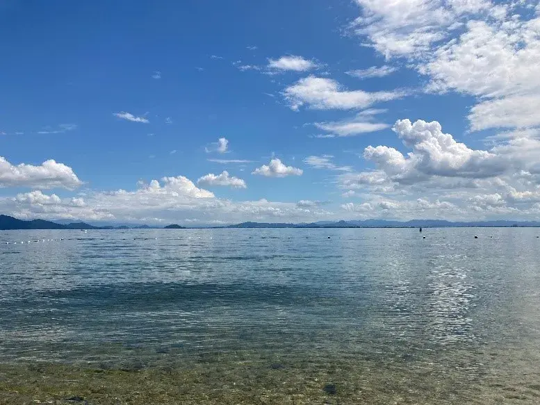 わたしたちを取り囲む色（7）Instagramの色