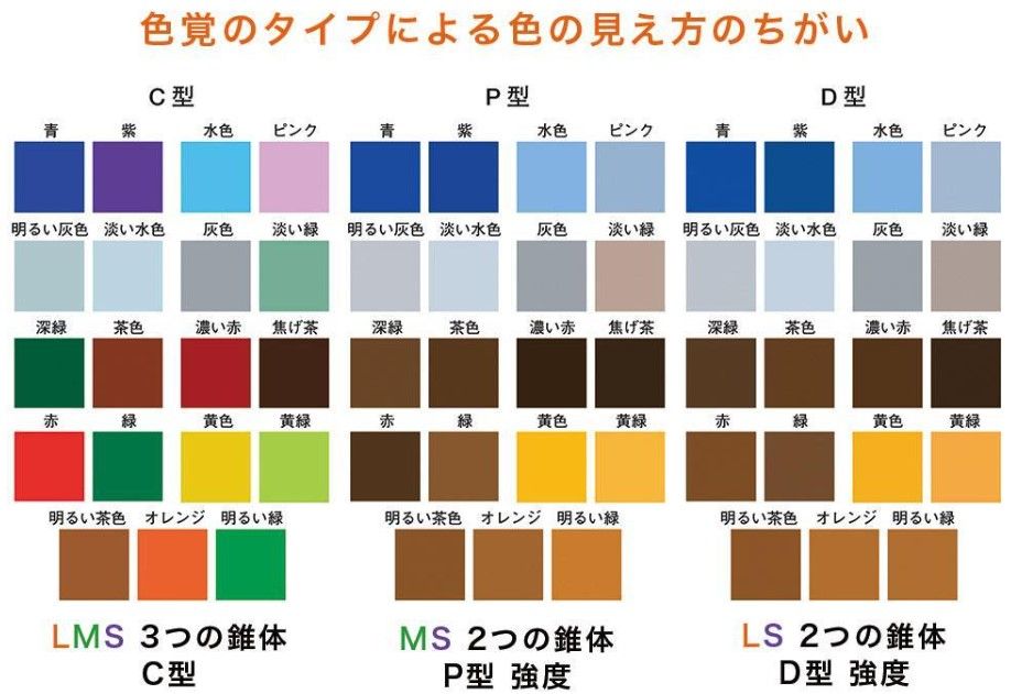 色彩検定一級ライター直伝！色彩センスアップ講座　③あらゆる人に優しい色の世界に「カラーユニバーサルデザイン」とは