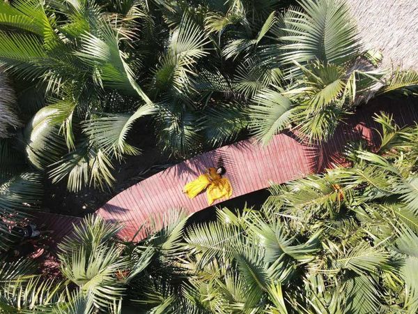 বড়দিনের ছুটিতে জঙ্গলবাড়ি ভ্রমণে বৃত্ত (২ রাত থাকা)