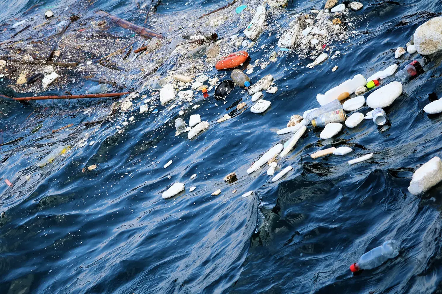 図2：海に流出したプラスチック製品などの廃棄物