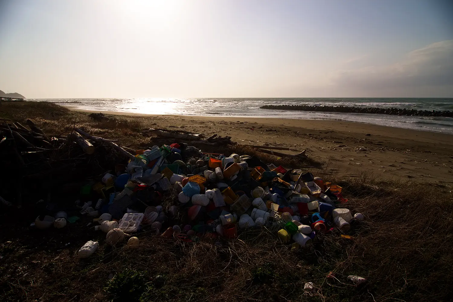 海岸に横たわるプラスチックごみの数々
