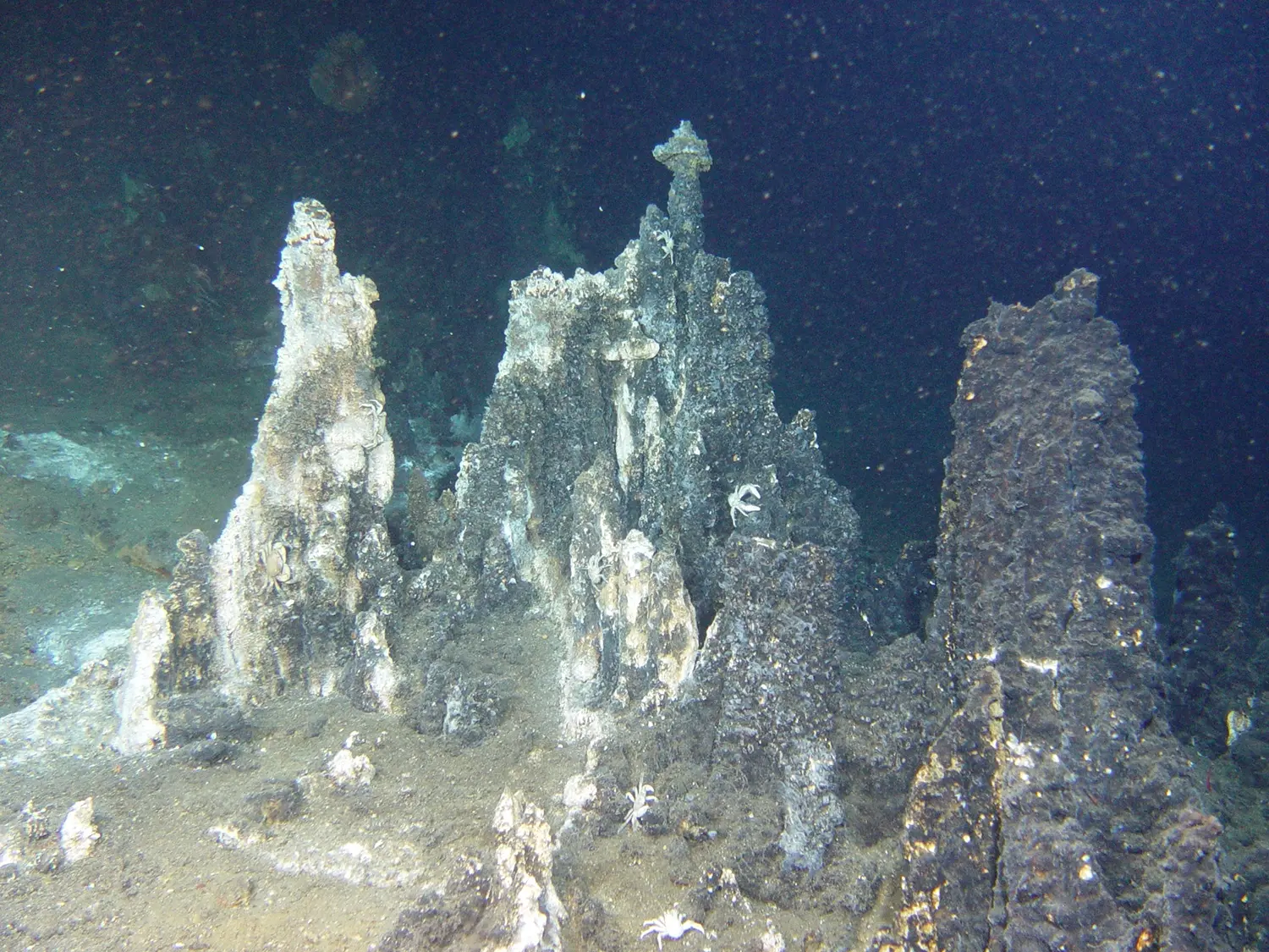 図2：海底熱水鉱床