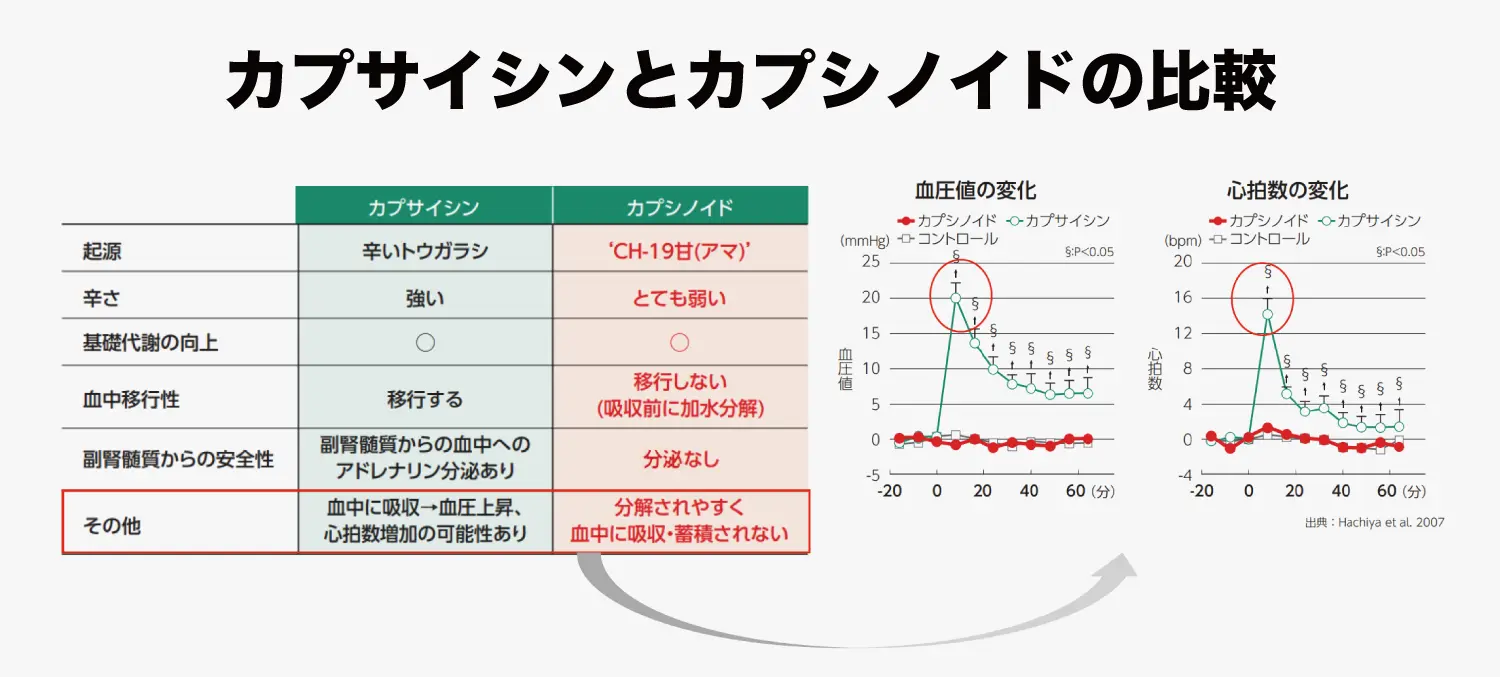 図2：カプサイシンとカプシノイドの比較（画像提供：味の素、一部改変）