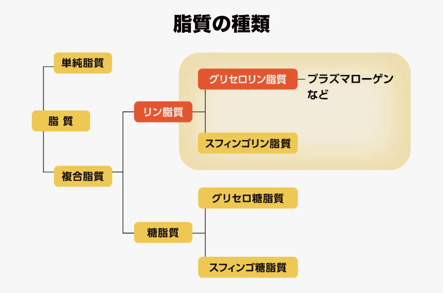 脂質の種類
