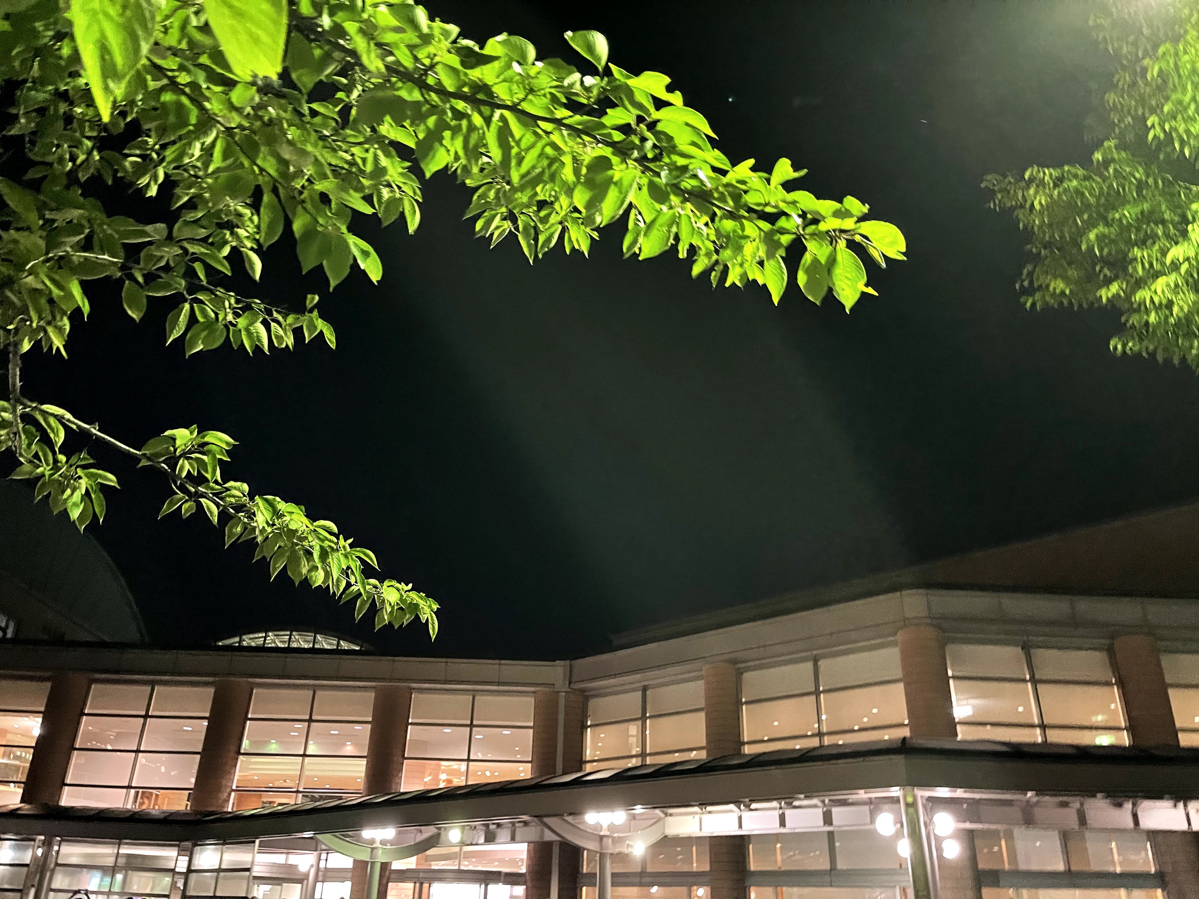 田村ゆかり LOVE ♡ LIVE 2021 *Airy-Fairy Twintail* 新潟公演 感想