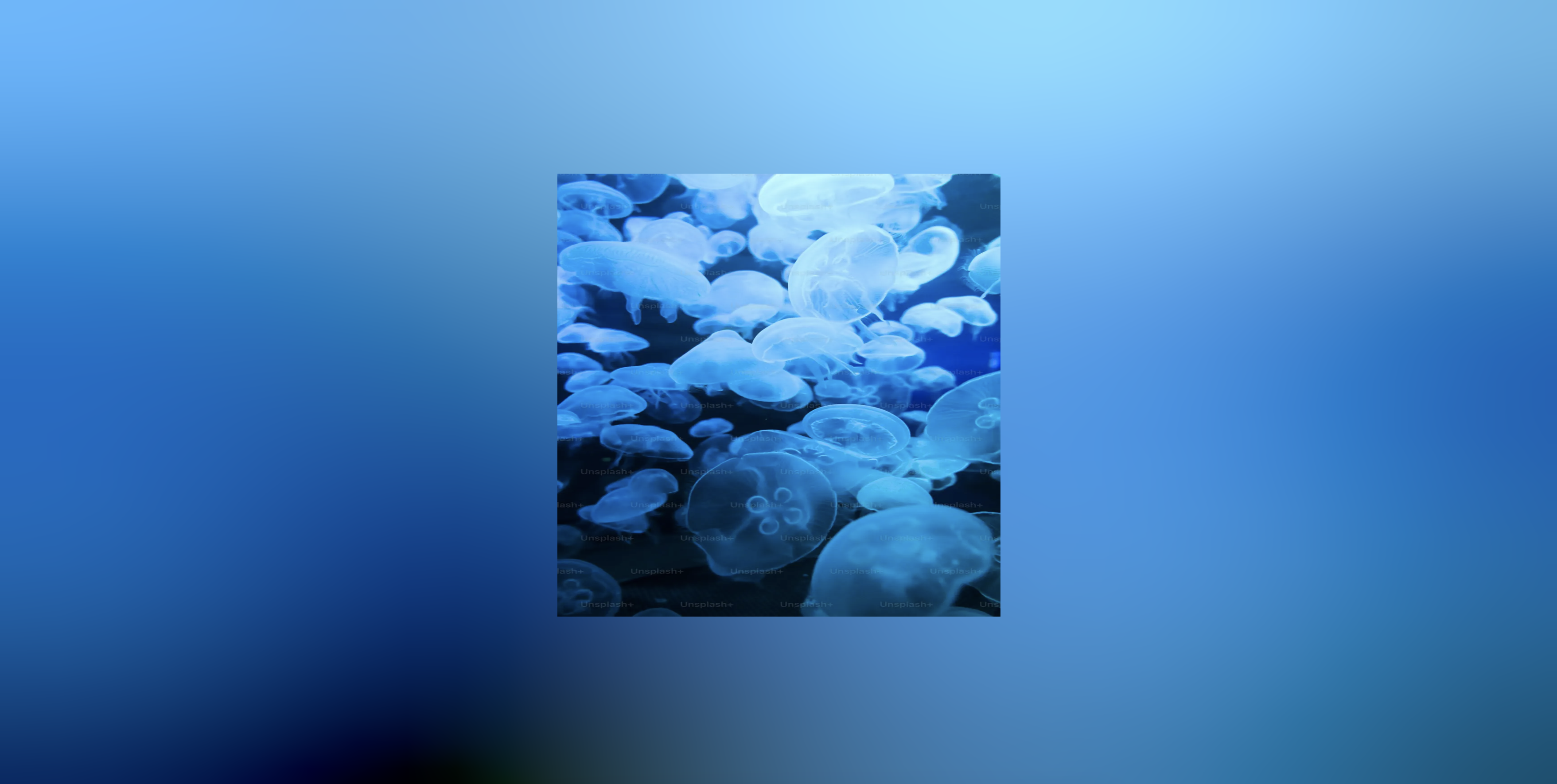 Blurred Background Example