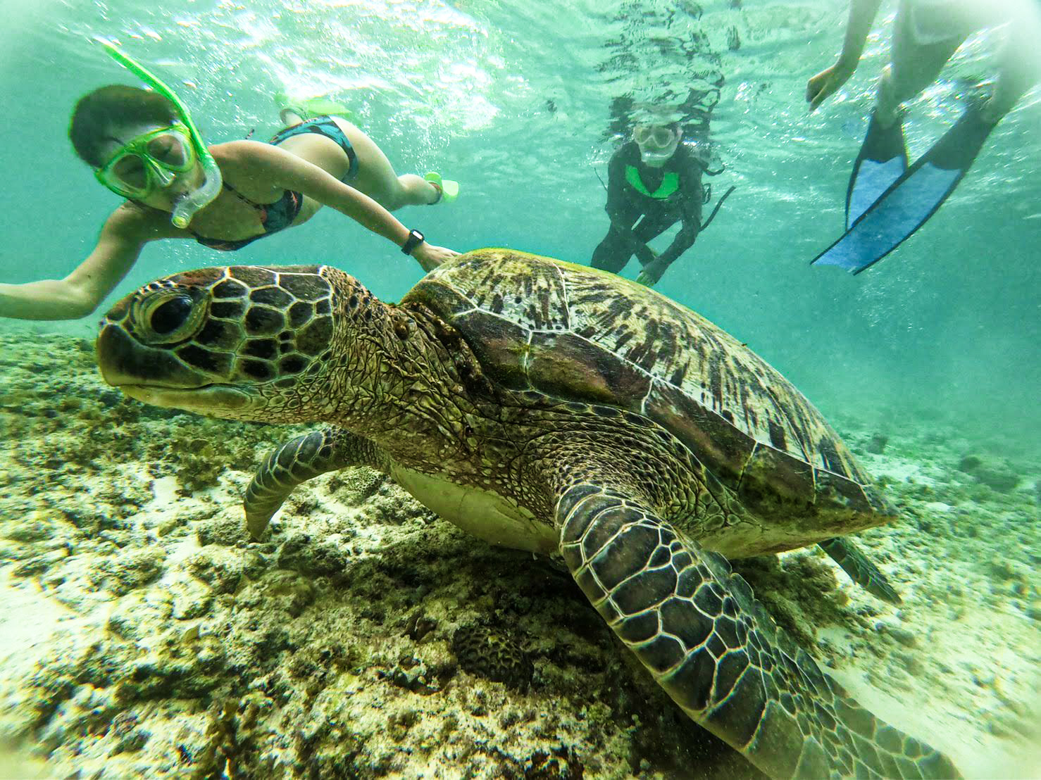 Cebu - Fun Group
