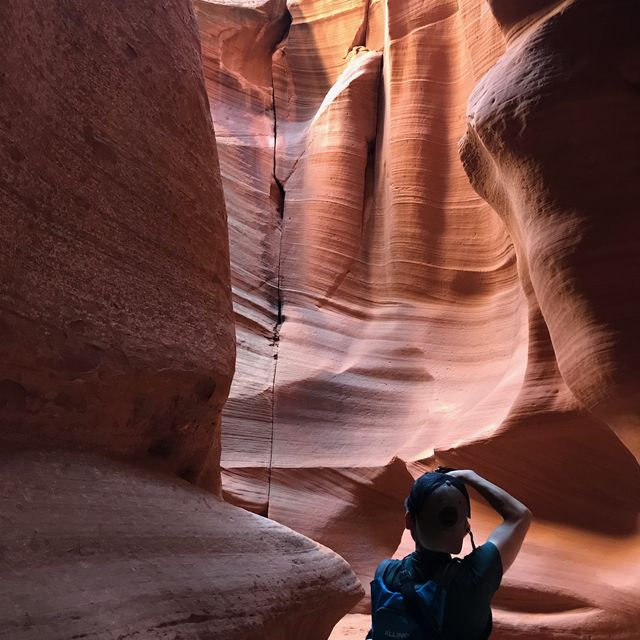 ラスベガス発3大絶景日帰りツアー】Antelope Canyon X（アンテロープ