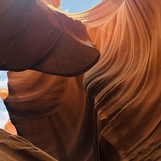 上下犬L size グランドキャニオンA.K.A.D FRIENDSHIP ラスベガス発3大絶景日帰りツアー】Antelope Canyon X