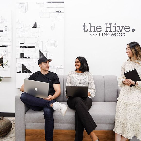 The Hive