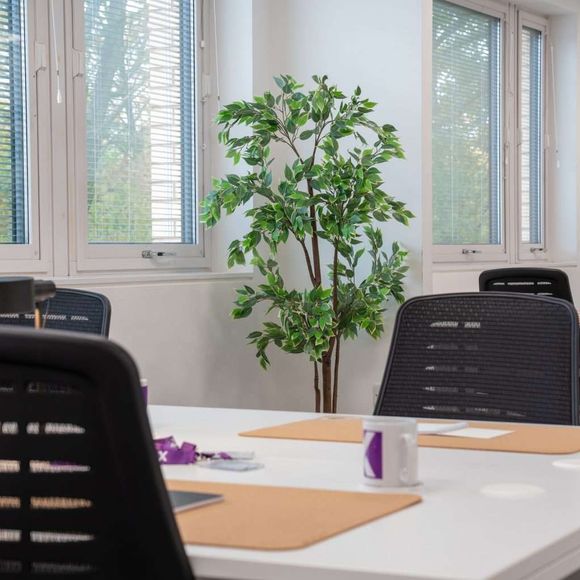 Cubix Offices