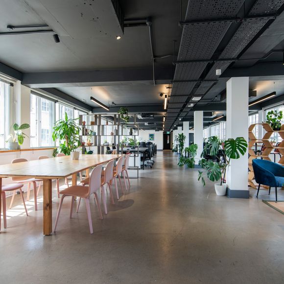 Canvas Offices