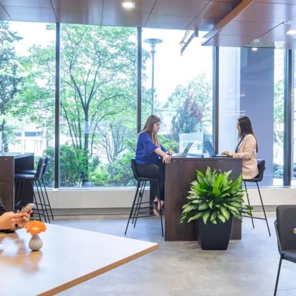 Serendipity Labs