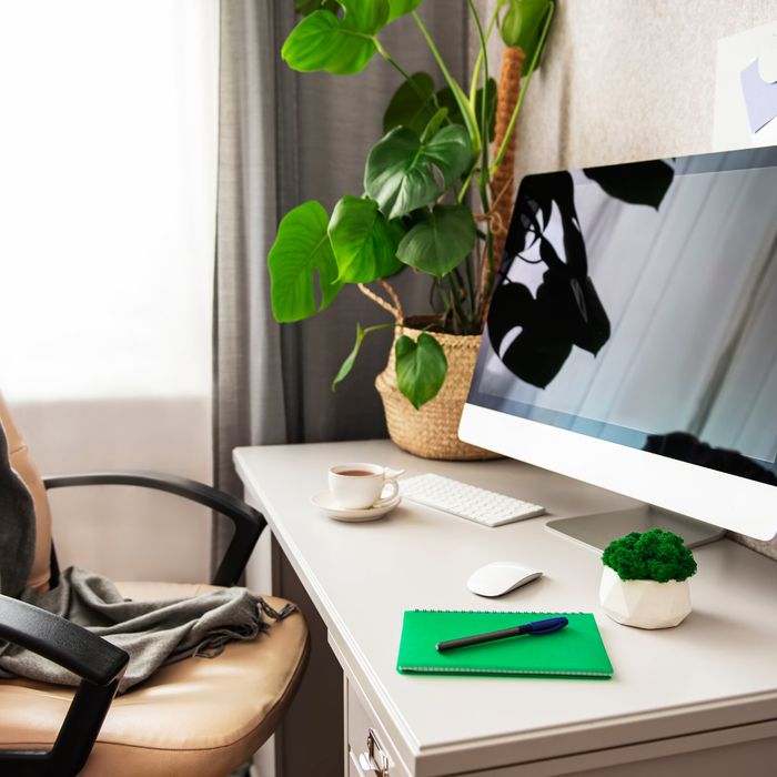 Transform Your Office into a Coworking Space