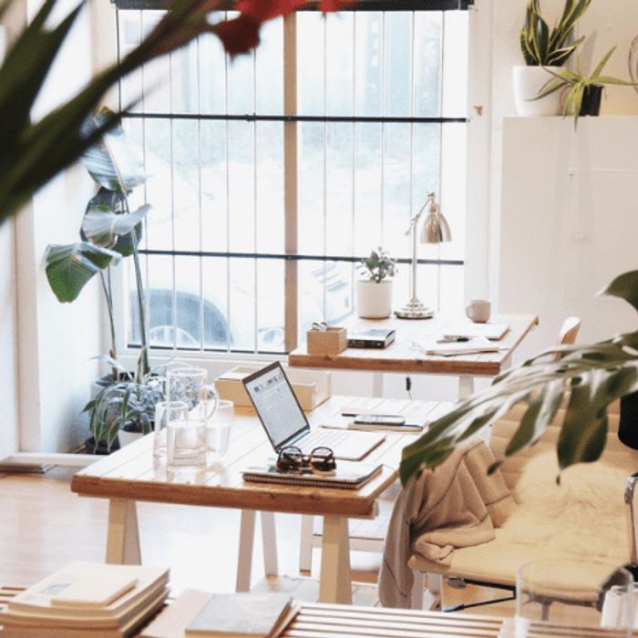 Top 5 Reasons To Share And Rent Office Space