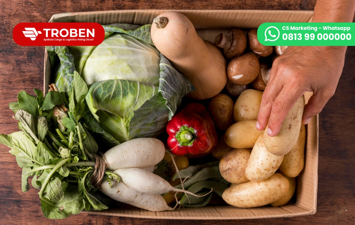 7 Cara Kirim Paket Sayur Siap Masak ke Luar Kota, Anti Ribet!