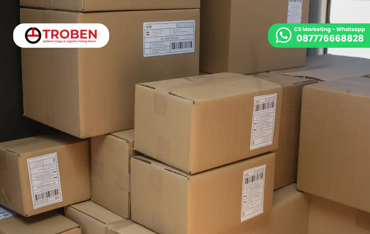 Wajib Tahu! Ini Beberapa Jenis Pengiriman Paket yang Efisien untuk Cargo
