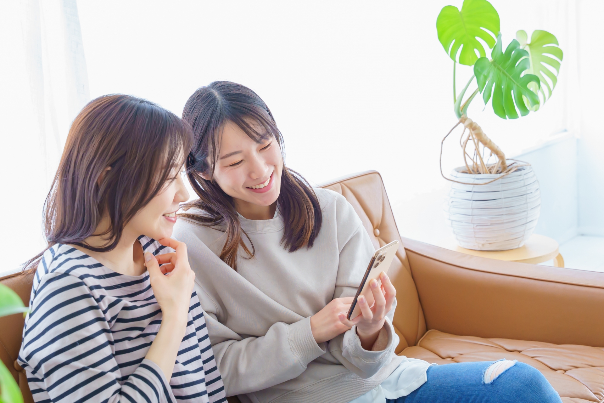 【NTQ Engineer Insight】FlutterとReact Nativeを比較してみた