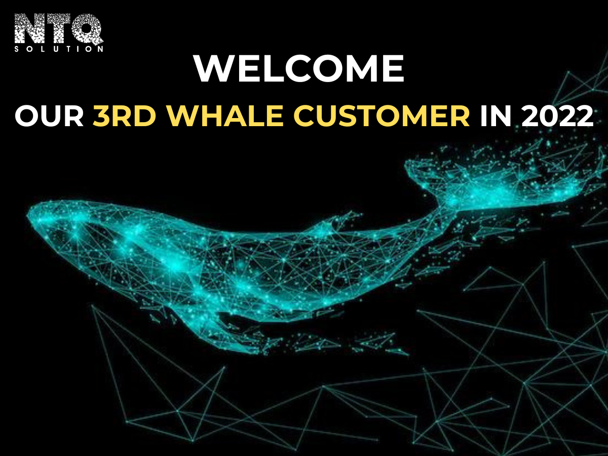 WHALE 3RD.png