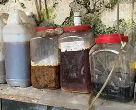 Gambar 1. Hasil Eco-enzyme masyarakat