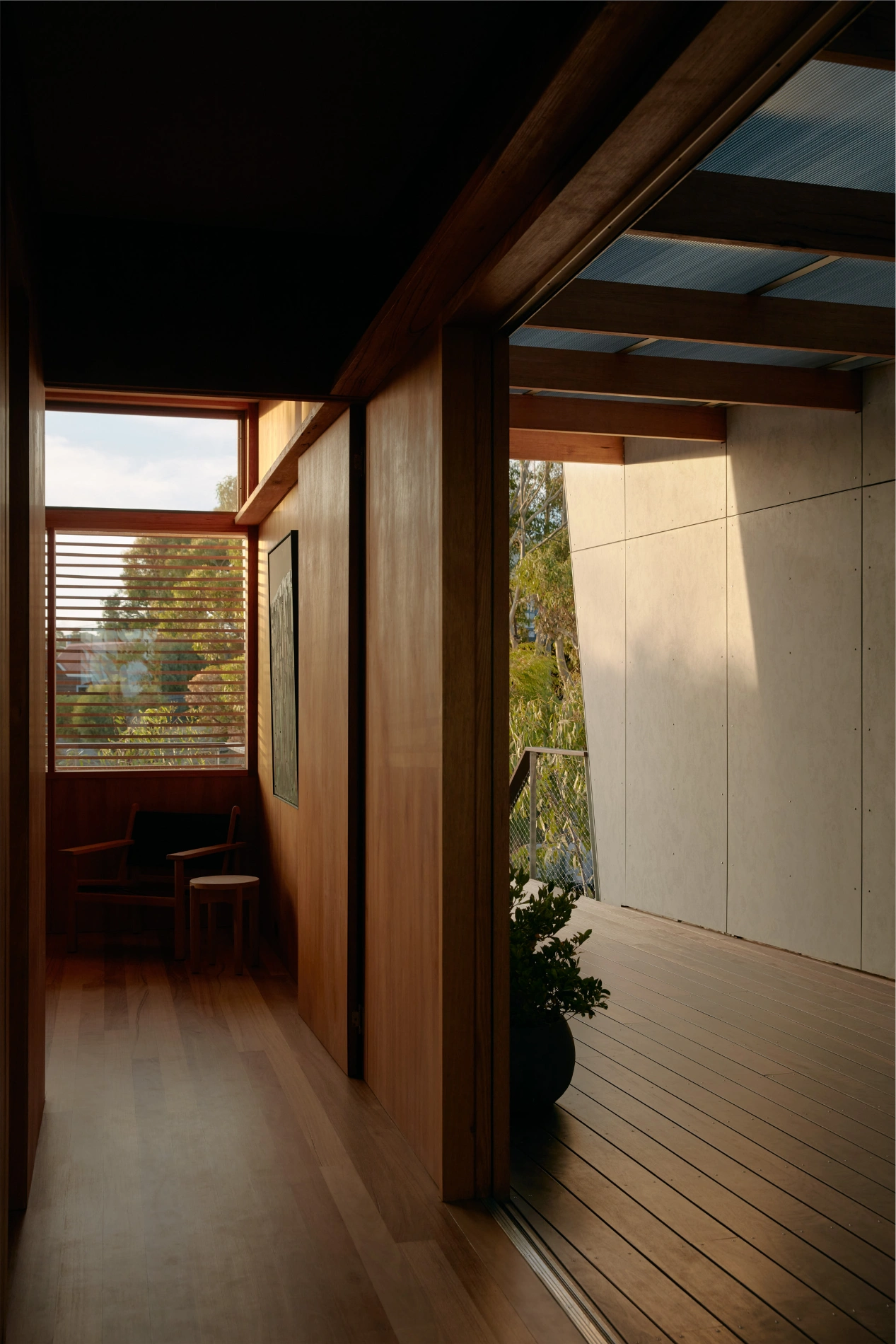 Hall of Eucalypt house