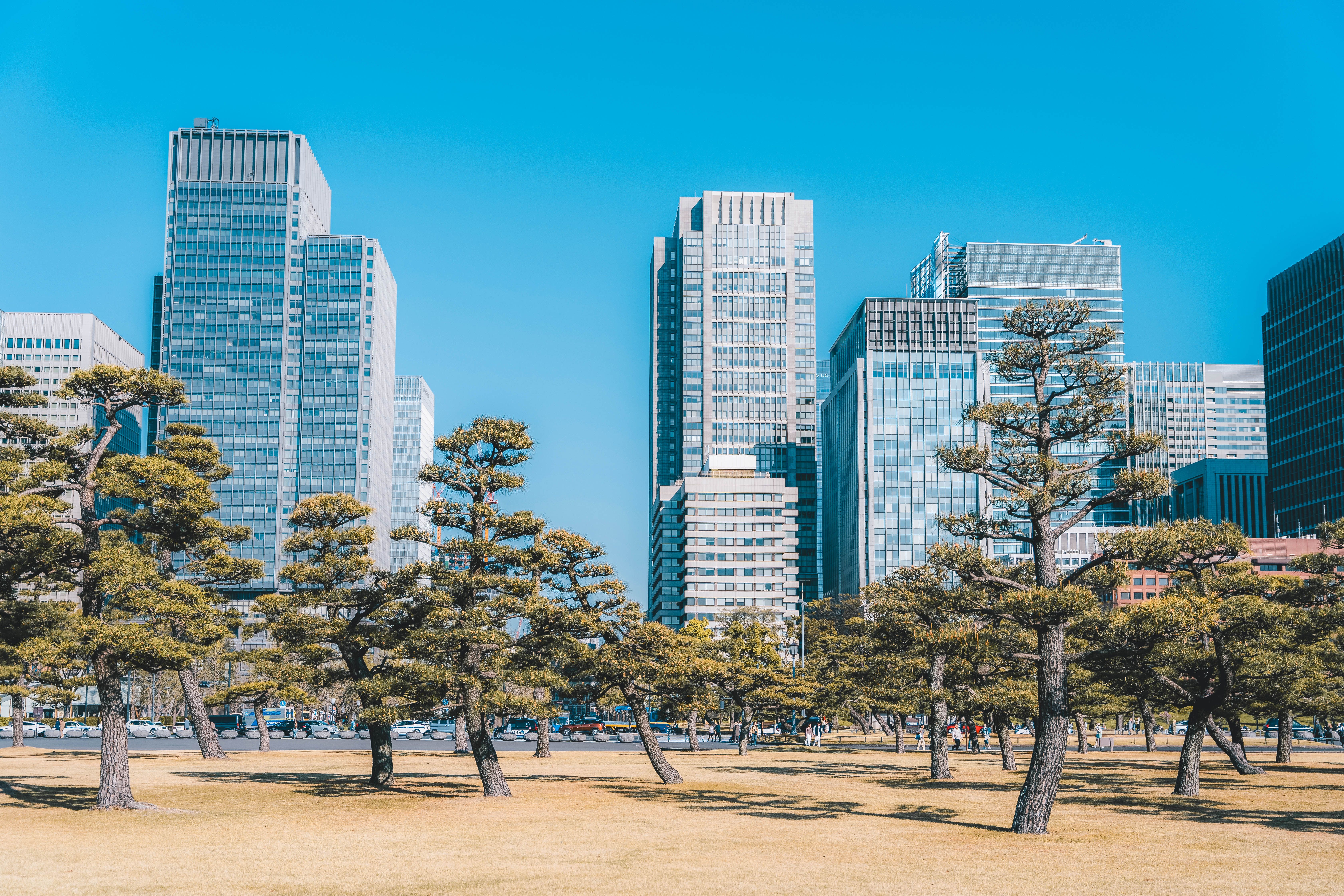 Cost of Living in Tokyo vs Other Cities in Japan: Rent & Prices Updated for August 2024