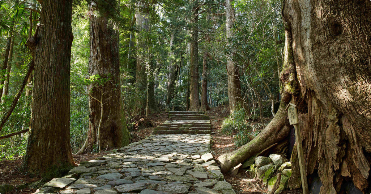 Forest land in Japan