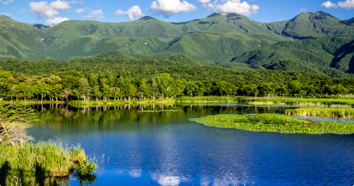 Japanese Natural Parks, and Conservation Areas