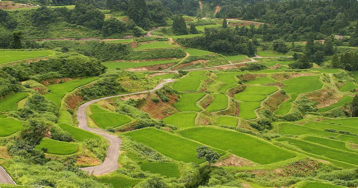 Agricultural land in Japan