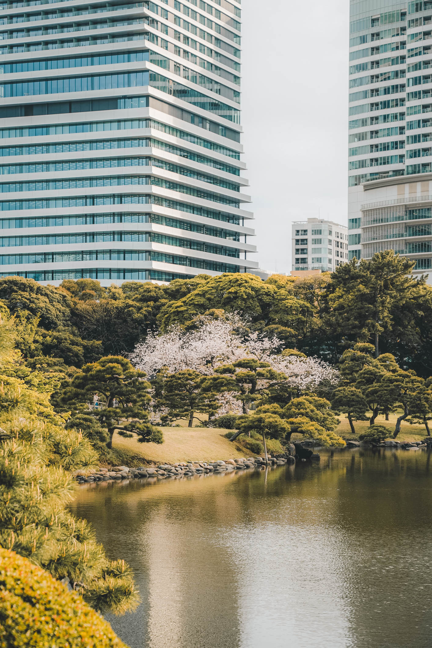The Best Parks and Gardens in Tokyo