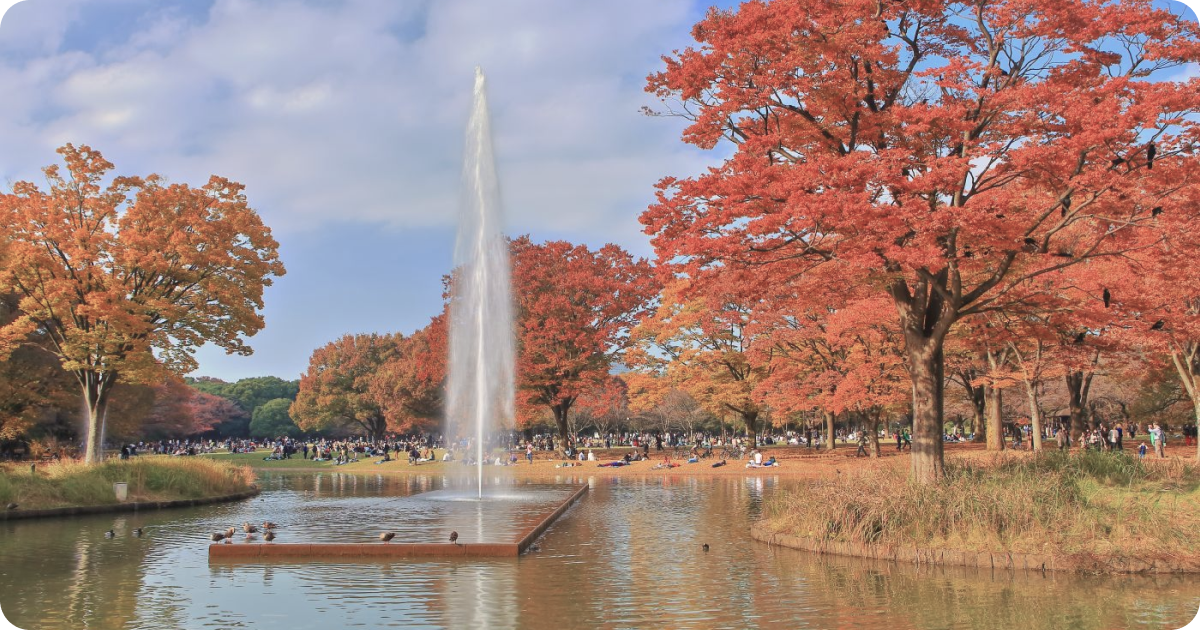 Yoyogi Park tokyo during fall