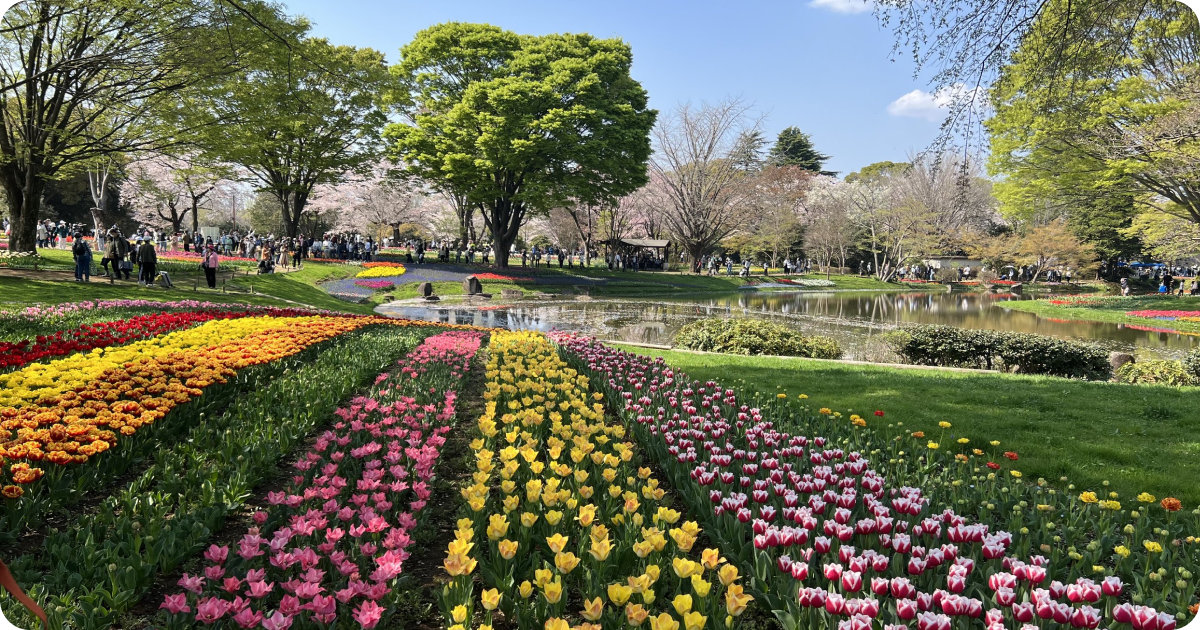 Showa Kinen Park