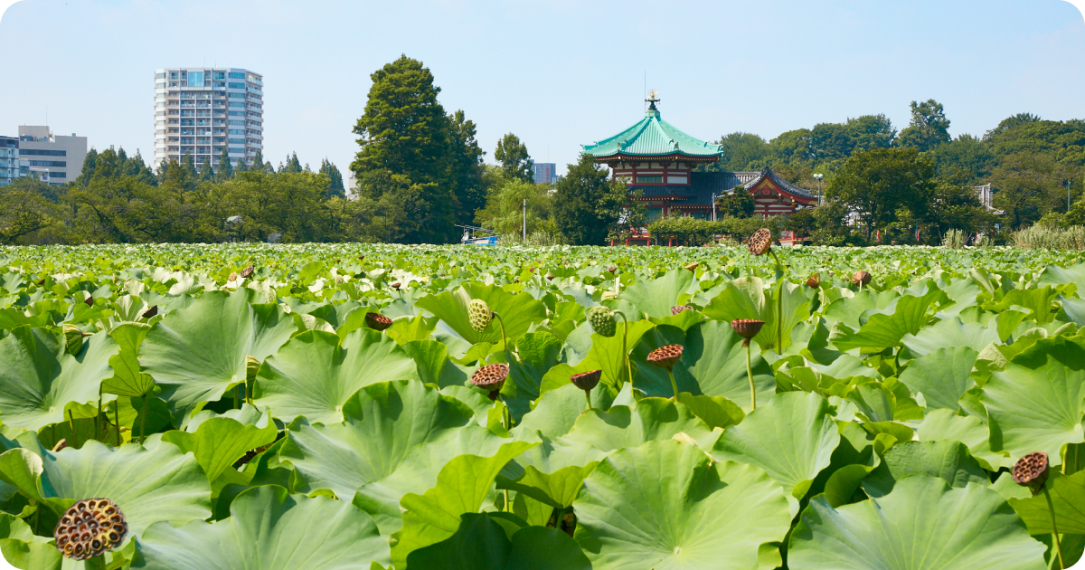 Ueno Park