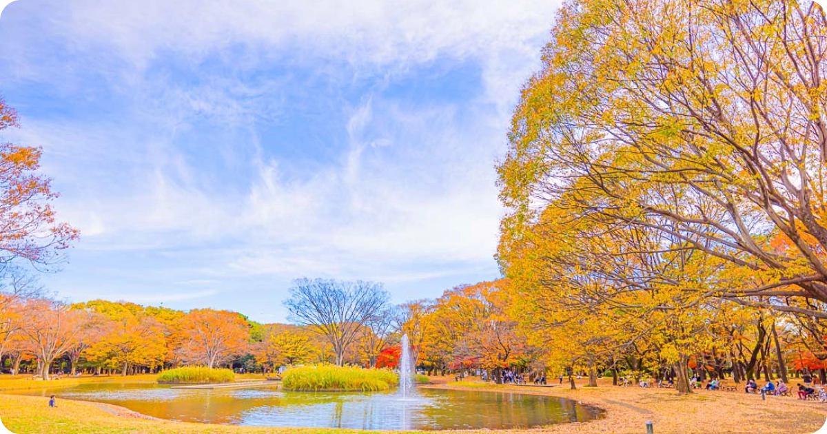 Yoyogi park