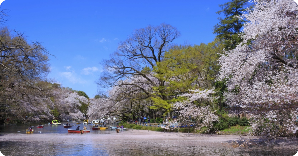 Inokashira park