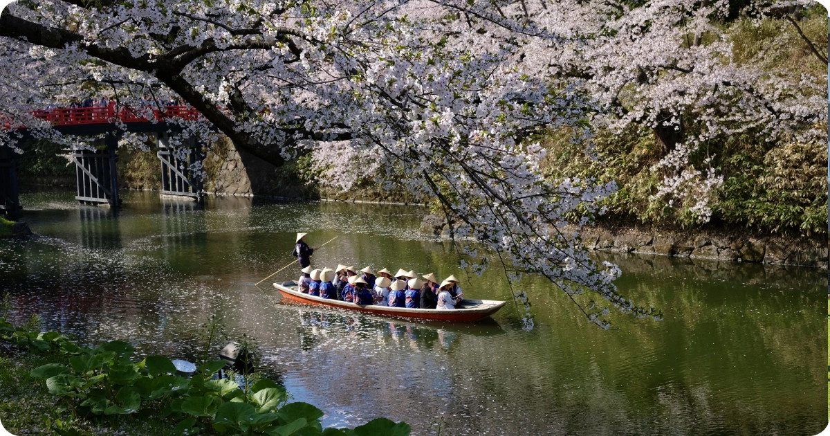 Hanami Festival.webp