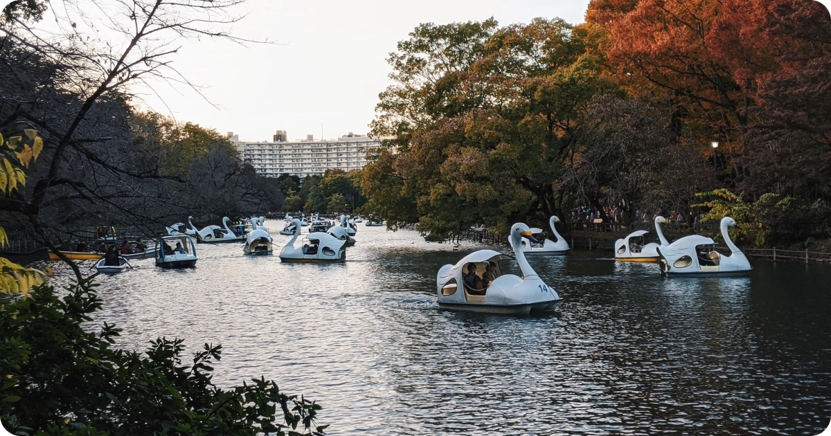 couple in a boat