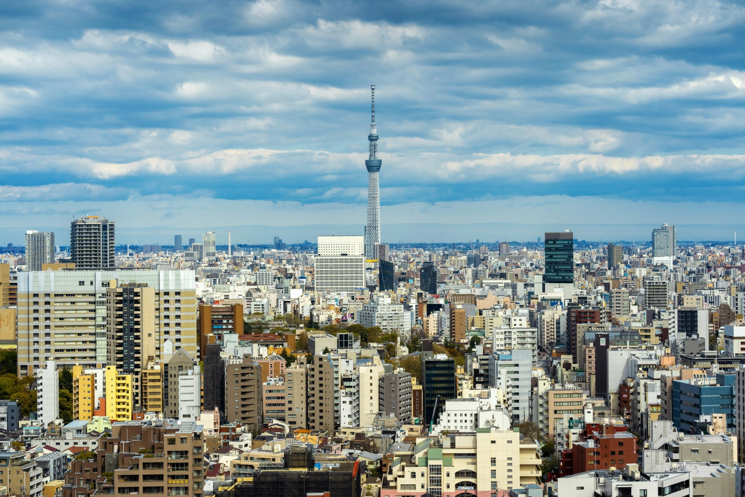 Tokyo's 23 Wards: A Japan Guide to the Special Wards