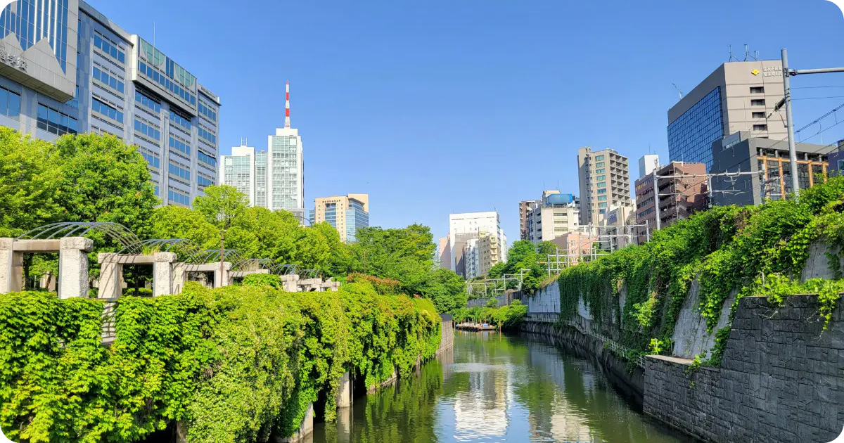 The market in Bunkyo
