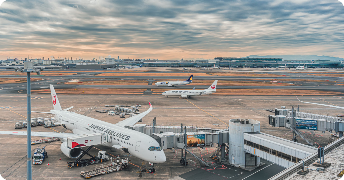 Tokyo Airport Transfer: Narita & Haneda Airport to Tokyo Guide