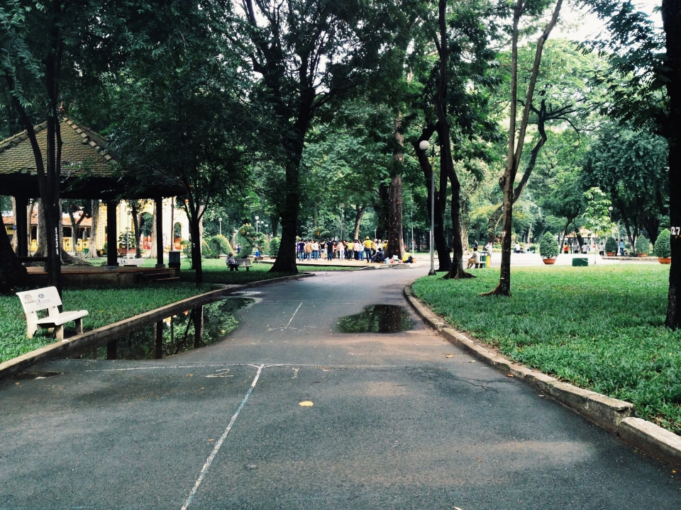Yoyogi Park’s 2025 Makeover: What’s New and What to See