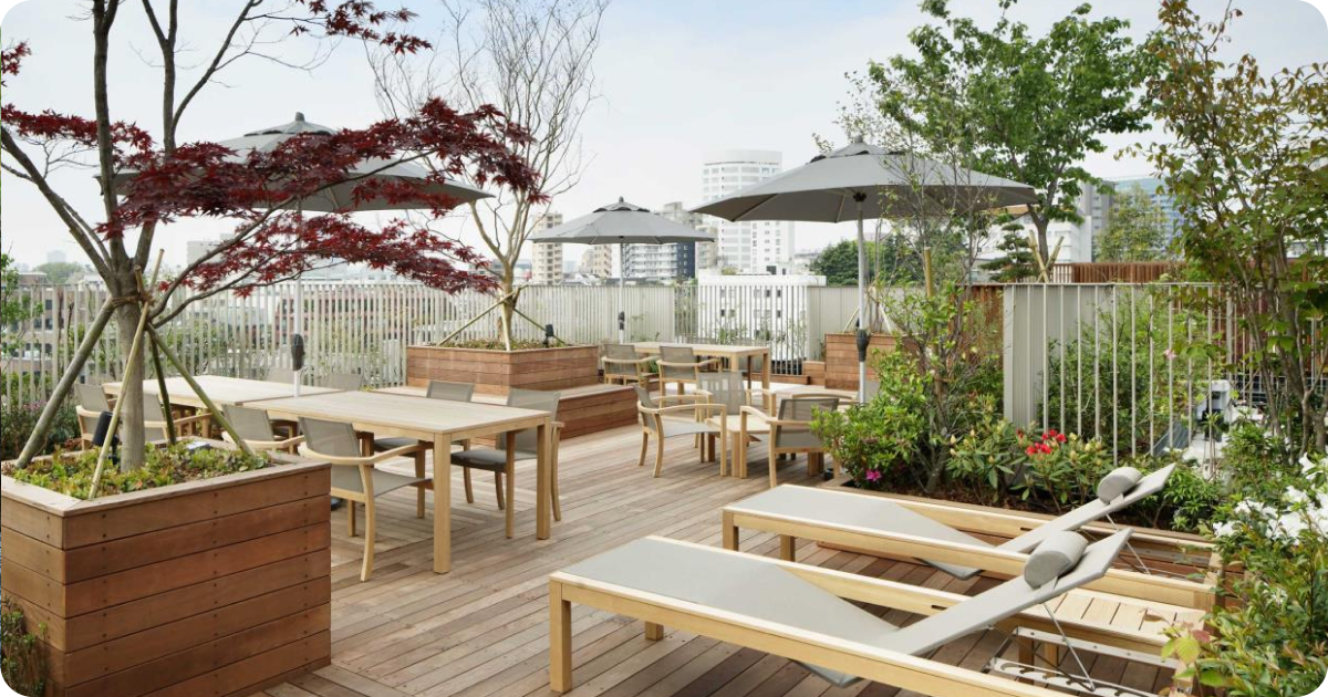 rooftop.webp