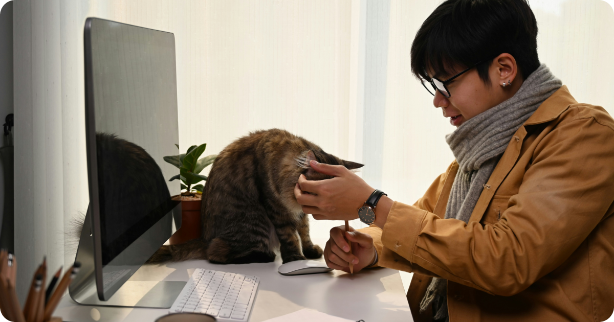 cat in japanese apartment