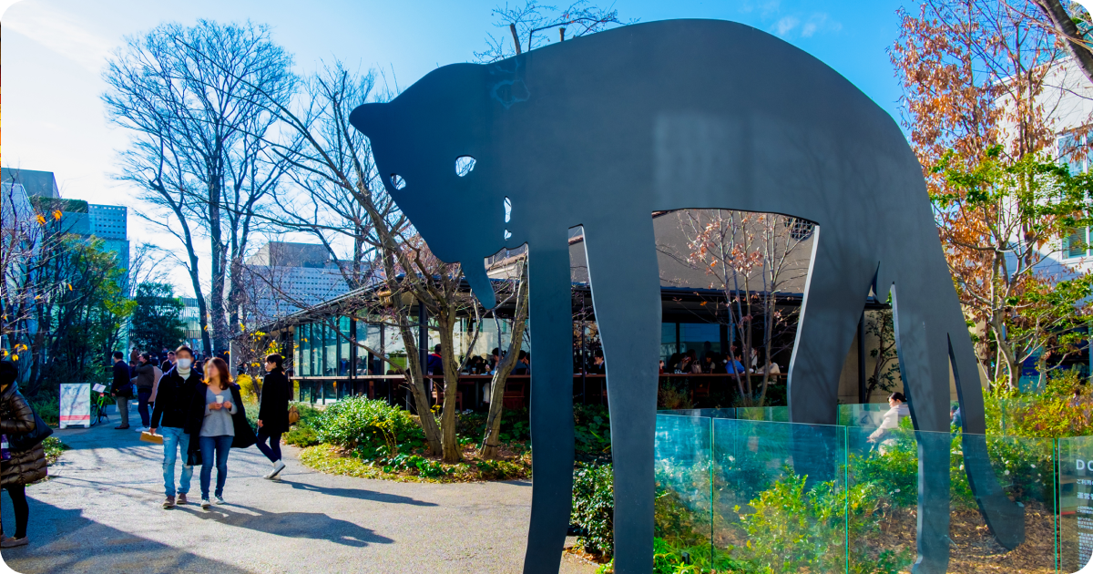 daikanyama dog