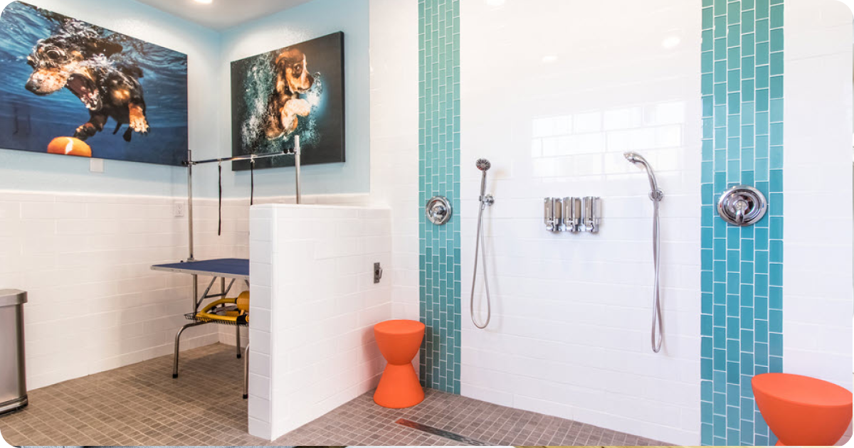 dog friendly amenities